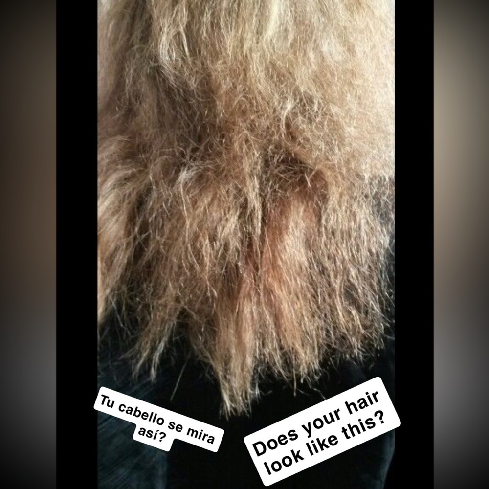 Organic shampoo and conditioner immediate hair repair